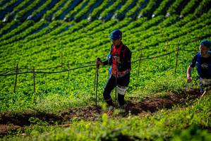 BIB: 
                            <button type="button" onclick="openModal(19160502)" class="btn btn-primary btn-sm float-right btn-popup" data-toggle="modal" data-target=".modal-high-quality">
                        <i class="fas fa-shopping-cart"></i> Add to Cart
                    </button>
                                            <button type="button" onclick="isThisMe(19160502, true)" class="btn btn-success btn-sm float-right btn-popup btn-isme hidden" data-toggle="tooltip" data-placement="bottom" title="นี่คือรูปของคุณใช่ไหม คลิกที่นี่เพื่อเอาเข้าอัลบั้ม">
                        <i class="fas fa-plus"></i> Add to album
                    </button>
                    <button type="button" onclick="isThisMe(19160502, false)" class="btn btn-warning btn-sm float-right btn-popup btn-isnotme hidden">
                        <i class="fas fa-ban"></i> Remove from album
                    </button>